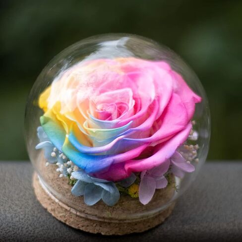 Preserved Real Rose in a Circular Glass Cover， with Wooden Base, a Gift for Valentine's Day, Mother's Day Christmas, Anniversary, Girlfriend Birthday（Blue） 1 pcs 10 cm in Saudi Arabia