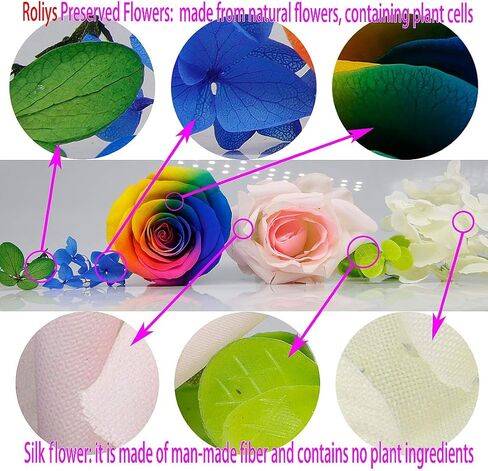 Preserved Real Rose in a Circular Glass Cover， with Wooden Base, a Gift for Valentine's Day, Mother's Day Christmas, Anniversary, Girlfriend Birthday（Blue） 1 pcs 10 cm in Saudi Arabia