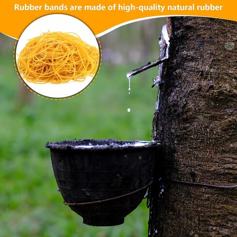 Rubber Bands, 300 Pcs Sturdy Rubberbands, 4 x 0.17 cm Stretchable Small Rubber Bands for School Home Office Supplies, Yellow in Saudi Arabia
