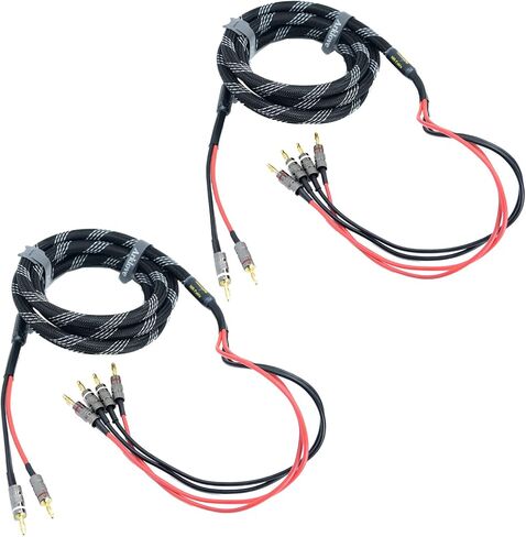 20ft 2packs 13awg كابل مكبر الصوت قسط الثقيلة مضفر سلك مزدوج الموز 2 التوصيل إلى 4 مقابس ذكر الموز قسم التردد 2 مقابس الموز - 4 مقابس الموز 1 زوج in Saudi Arabia