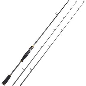 Sougayilang Fishing Rods - IM6 Graphite Blanks Casting & Spinning Rods, 2-Piece Rods with Extra Tip Section,Power Transition System, EVA Handle