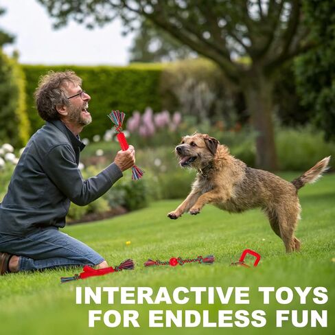 BINGPET 2 Pack Dog Rope Toy for Large and Medium Dogs,Heavy Duty Tug of War Dog Toy,100% Cotton Dog Chew Toys Dog Teething Toys,Nearly Indestructible Tough Rope Dog Toys for Aggressive Chewers in Saudi Arabia