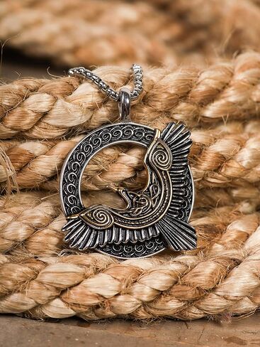 HAQUIL Raven Necklace, Black Plated Stainless Steel Celtic Raven in Flight Medallion Pendant, Box Chain, Raven Jewelry Gift in Kuwait