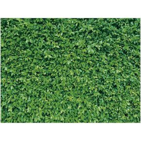 Mixweer 8 x 10 ft Green Leaves Wall Backdrops Photography 3D Greenery Grass Nature Polyester Fabric Background for Birthday Wedding Dinosaur Jungle Shower Party Decorations Photo Prop