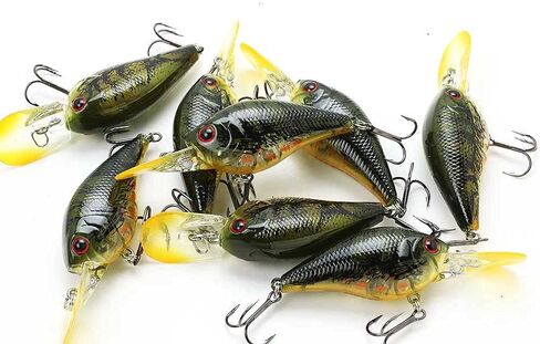 LUCKY CRAFT LC 1.0DD DRS, Freshwater Bass Fishing Lure, Crank Bait, Smallmouth, Walleye, Deep Diver, Floating, Tournament Winning, Perfect Wobbling, Fishing Gear, Fishing Accessories, Fishing Tackle in Saudi Arabia
