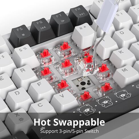 75% Wired Creamy Keyboard, Hot Swappable Mechanical Gaming Keyboard with Gasket Mounted, RGB Backlit, Red Switch, Knob Control for Win Pc Laptop(82White) in Kuwait