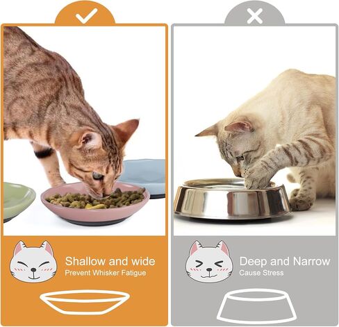 Cat Food Bowl,Non-Slip Ceramic Cat Bowls for Indoor Cats,Whisker Fatigue Cat Food Bowls,Shallow Cat Dishes for Food and Water,with Silicone Base Kitten Bowls for Feeding Cats,Kitten,Small Dog,3 Pack in Saudi Arabia