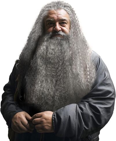 لحية وشعر مستعار بني واقعي من MCJC - ملحقات زي ساحر لحية وشعر مستعار للبالغين للهالوين (بني) in Kuwait