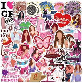 Worthy Trust 55pcs American Singer Music Stickers Chappell Waterproof Vinyl Stickers for Water Bottle, Laptop, Snowboard, Guitar, Phone, Music Stickers.
