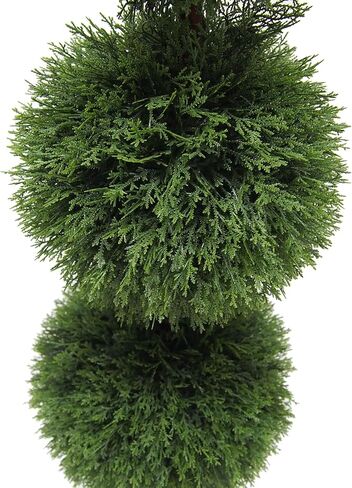 Vickerman Everyday 4' Artificial Potted Cedar Triple Ball Boxwood Topiary - Lifelike Home Or Office Decor - Premium Faux Potted Tree - Maintenance Free Plant in Saudi Arabia