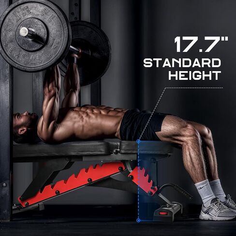 مقعد رفع الأثقال، مقاعد تدريب القوة شديدة التحمل وقابلة للتعديل لتمرين الجسم بالكامل، مقعد صالة الألعاب الرياضية متعدد الأغراض وقابل للطي ومنحدر in Kuwait