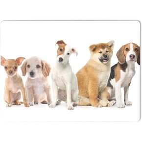 MightySkins Glossy Glitter Skin Compatible with Microsoft Surface Laptop 5 13.5" Full Wrap Kit - Puppy Posse | Protective, Durable High-Gloss Glitter Finish | Easy to Apply | Made in The USA