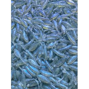 2.25 "Shad Stingers ، Crappie Baits ، سحر الأسماك ، الطعوم الصيد للباس ، والليلي ، سمك السلمون المرقط ، سمك السلور (حليب القرد)