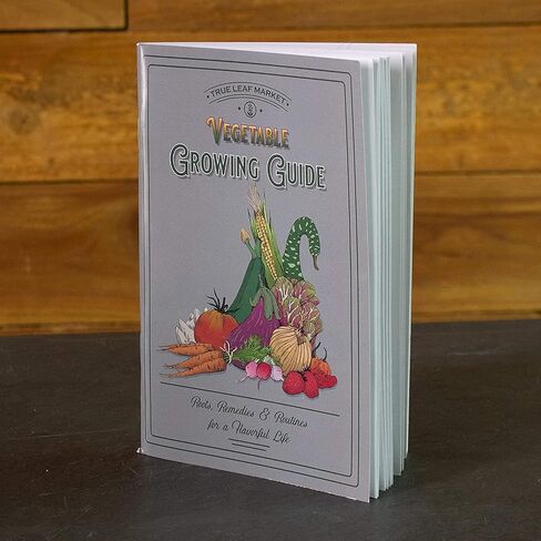 Bug Out Bag Survival Garden Vegetable & Herb Seeds - ~12,000 Seeds - Collection of 19 Heirloom Seed Varieties for Emergency Seed Vault - Bean, Beet, Carrot, Corn, Kale, Onion, Pepper, & 12 More… in Saudi Arabia