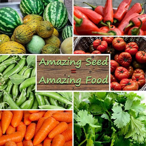 Bug Out Bag Survival Garden Vegetable & Herb Seeds - ~12,000 Seeds - Collection of 19 Heirloom Seed Varieties for Emergency Seed Vault - Bean, Beet, Carrot, Corn, Kale, Onion, Pepper, & 12 More… in Saudi Arabia