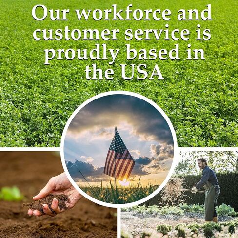 Bug Out Bag Survival Garden Vegetable & Herb Seeds - ~12,000 Seeds - Collection of 19 Heirloom Seed Varieties for Emergency Seed Vault - Bean, Beet, Carrot, Corn, Kale, Onion, Pepper, & 12 More… in Saudi Arabia