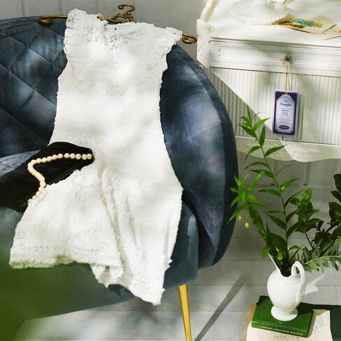 Paper Fragrance White Tea, 3pk - Closet Freshener - Closet Deodorizer Odor Eliminator - Sachets for Drawers and Closets - Drawer Fresheners for Clothes - Fresh Scents Sachet Packets in Kuwait