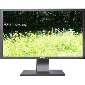 DELL P2411HB 24 DELL FLAT PANEL WIDESCREEN ALT F8NDP (Renewed)