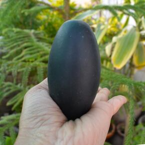 Black Narmada Lord Shivling Shiva Lingam Idol Statue Beautiful Black Color Narmada Jaladhari Shivling for Shiv, Sawan, Shivratri Pooja Rudrabhishek, Jalabhishek Purpose (Black Shiva Lingam 4 Inch)