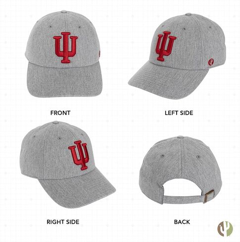 Desert Cactus Indiana University Baseball Hat Hoosiers Bloomington Brimmed Embroirderd Hats Cap Adjustable Cloth Strap Adult (Style B1) White in Saudi Arabia
