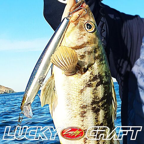 LUCKY CRAFT FlashMinnow 150SR, Saltwater Surf Fishing Lures, Jerkbait, Halibut, Calico Bass, White Seabass, Striped Bass, Yellowtail, Slow Floating, Fishing Gear, Fishing Accessories, Fishing Tackle in Kuwait