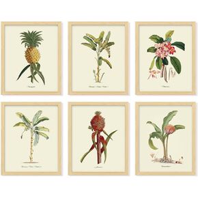 97 DECOR Vintage Tropical Botanical Wall Art - Tropical Plants Prints, Tropical Wall Decor, Hawaiian Botanical Posters, Pineapple Pictures Banana Palm Tree Painting for Home Decoration (8x10 UNFRAMED)