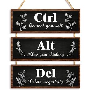 Pink Office Wall Decor for Woman, Ctrl Alt Del Wall Decor, Control Yourself Alter Your Thinking Delete Negativity Motivational Wall Plaques with Sayings Wooden Wall Hangings for Home Office (pink, 4.7 x 13.7 inch)