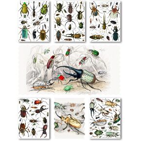 Large Stickers Pack # Exotic Beetle Sticker Collection: Intricate Entomological Art, Vibrant Colorsand Detailed Vintage Illustrations HANATABA Vintage Styled Wall Laptop Vinyl Decals