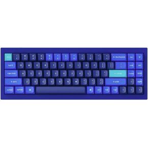 Q7 Swappable RGB Backlight Brown Switch - Blue - Special Color Keycaps