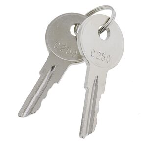 JEENDA 2PCS Ignition Keys C250 Replaces 089216-001 170151-001 Compatible with Crown Forklift (2)