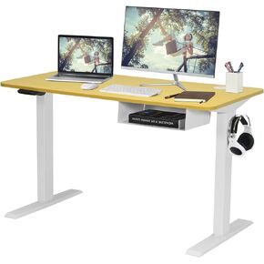 MEDIMALL Electric Sit Stand Desk, 28"-46.5" Height Adjustable Computer Desk, with Double Management Holes & USB Port, Smart Control Panel, Sit to Stand Work Station for Home Office