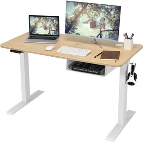 MEDIMALL Electric Sit Stand Desk, 28"-46.5" Height Adjustable Computer Desk, with Double Management Holes & USB Port, Smart Control Panel, Sit to Stand Work Station for Home Office