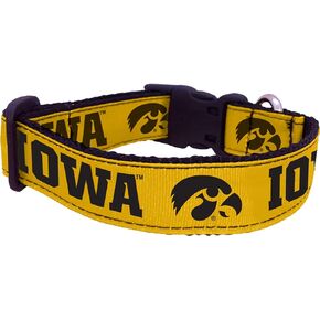 NCAA Iowa Hawkeyes Dog Collar (Team Color, Small)
