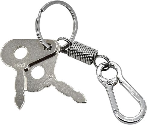 مجموعتان من مفتاح الإشعال T250 3107556R1 لجرار Case International Harvester 770 780 880 885 990 Benford Ford New Holland لـ Massey Ferguson TO35 25 35 50 65 Super 90 130 135 148 in Kuwait