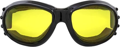 Birdz Eyewear Eagle Motorcycle Goggles in Saudi Arabia