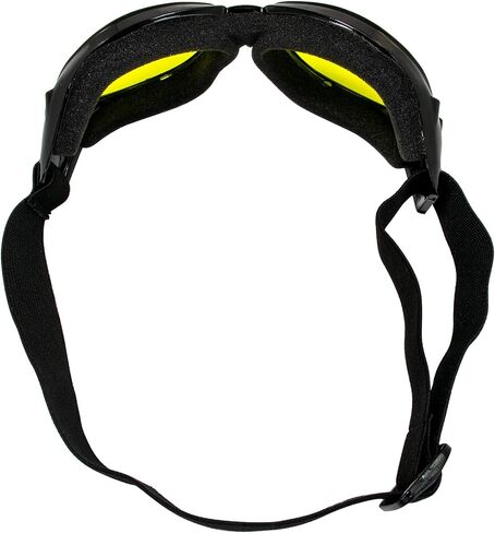Birdz Eyewear Eagle Motorcycle Goggles in Saudi Arabia