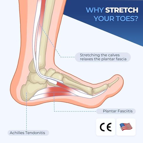 Plantar Fasciitis Relief Night Splint, Foot Ice Pack Wrap Plantar Fasciitis Brace for Men Women,Ankle Ice Pack for Achilles Tendonitis Heel Spur Foot Pain in Saudi Arabia