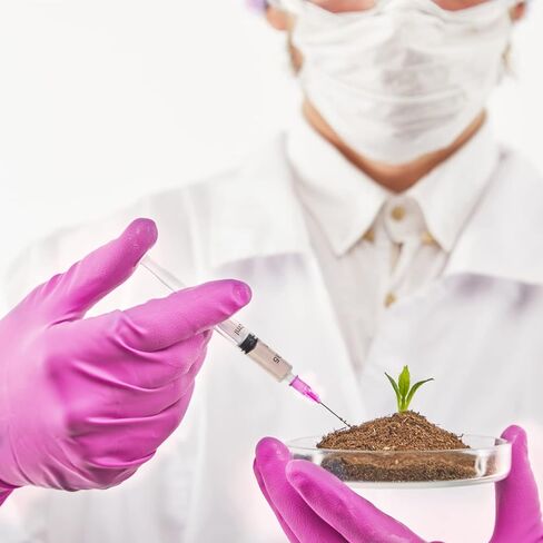 25 Pack 10ml Plastic Syringes with 18Ga, for Scientific Labs, Industrial Dispensing and Liquid Measuring Syringe Tools, Individually Sealed Packaging in Kuwait