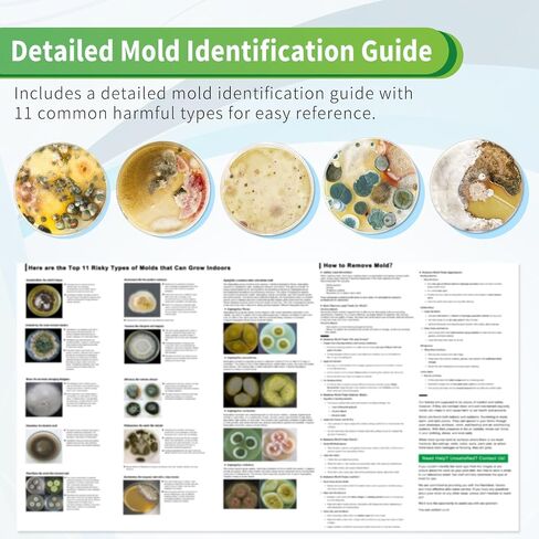 Mold Test Kit for Home with Free Lab Analysis - 5 Simple Detection Tests DIY at Home Mold Air Tester - Test HVAC System,Surface Mold for Home Indoor & Outdoor Air Quality Mold Testing Kits Detector in Kuwait