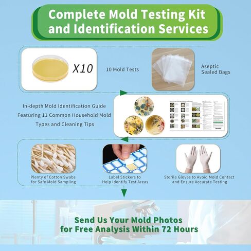 Mold Test Kit for Home with Free Lab Analysis - 5 Simple Detection Tests DIY at Home Mold Air Tester - Test HVAC System,Surface Mold for Home Indoor & Outdoor Air Quality Mold Testing Kits Detector in Kuwait