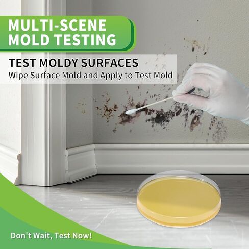 Mold Test Kit for Home with Free Lab Analysis - 5 Simple Detection Tests DIY at Home Mold Air Tester - Test HVAC System,Surface Mold for Home Indoor & Outdoor Air Quality Mold Testing Kits Detector in Kuwait