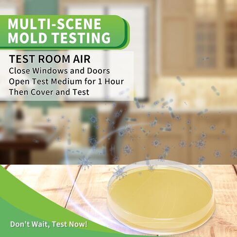 Mold Test Kit for Home with Free Lab Analysis - 5 Simple Detection Tests DIY at Home Mold Air Tester - Test HVAC System,Surface Mold for Home Indoor & Outdoor Air Quality Mold Testing Kits Detector in Kuwait