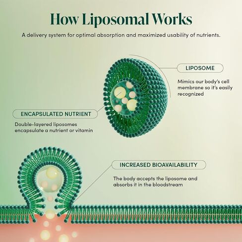 Beekeeper's Naturals Liposomal فيتامين C + دنج، توصيل فعال لدعم المناعة ومتوفر بيولوجيًا، 12 قيراط in Kuwait