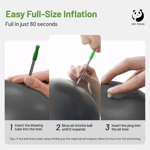 Slim Panda Pilates Ball,9 Inch Small Exercise Ball, Therapy Ball, Core Ball, Mini Yoga Ball for Pilates, Balance, Stability, Workout, Core Training and Physical Therapy in Kuwait