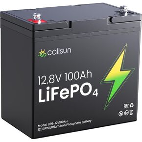 12V 10Ah LiFePO4 Battery, Built-in 10A BMS with Low-Temp Protection, 5000+ Cycles Lithium Battery for Solar/Wind Power, UPS, Power Wheels, Fish Finder, Lighting etc