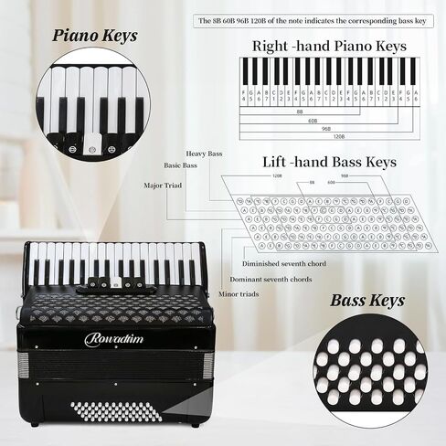 Accordion, 34 Key 60 Bass Keyboard Accordion, Professional Accordion, Adult Accordion Educational Instrument for Beginners and Students (black) in Kuwait