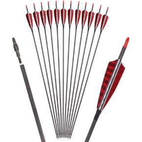 Elong 6/12PCS 30" Arrows for Compound Bows,Pure Carbon Hunting Arrows for Archery Spine 600/700 with 100 Grain Screw Tips,4" Turkey Feathers