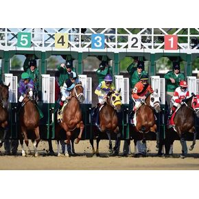Kentucky Photo Booth Backdrop Churchill Downs Horse Racing Themed Party Photography Background Wall Decoration (3.6×5.9ft)