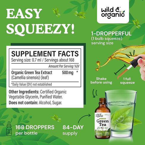 Green Tea Extract Drops - Organic Green Tea Liquid Supplement - Camellia Sinensis Tincture - Vegan, Alcohol Free - 2 fl oz in Kuwait