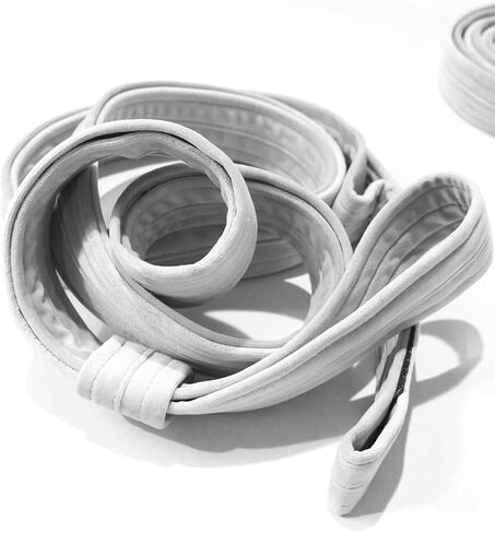 8.2ft 2.5m Aerial Straps Ropes Yoga Aerial Acrobatics Body Aerial Loop Trapeze Circus Apparatuses Equipment Three-Layer Straps 1 pairs in Saudi Arabia